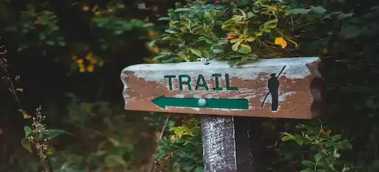 An image of a signpost with inscription behind greenery trees
										.